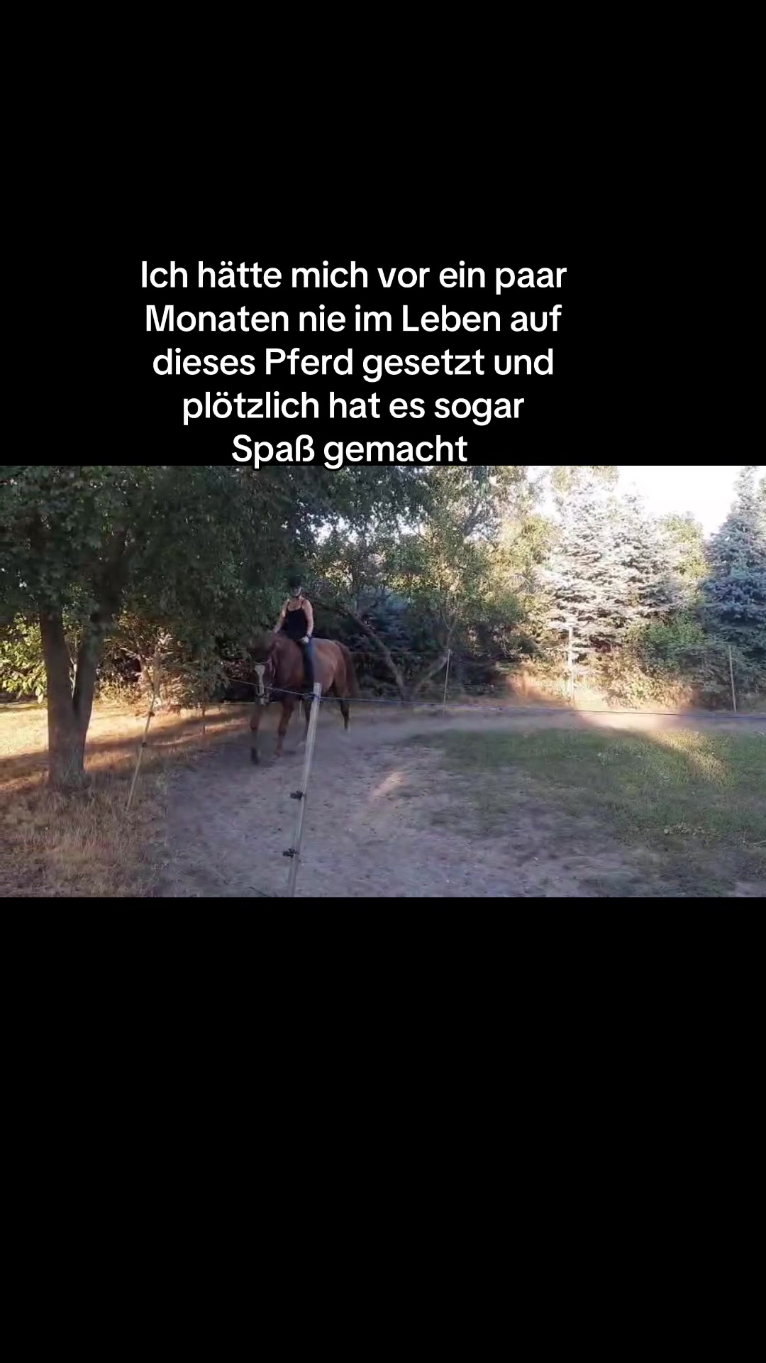 @stella_mhlb