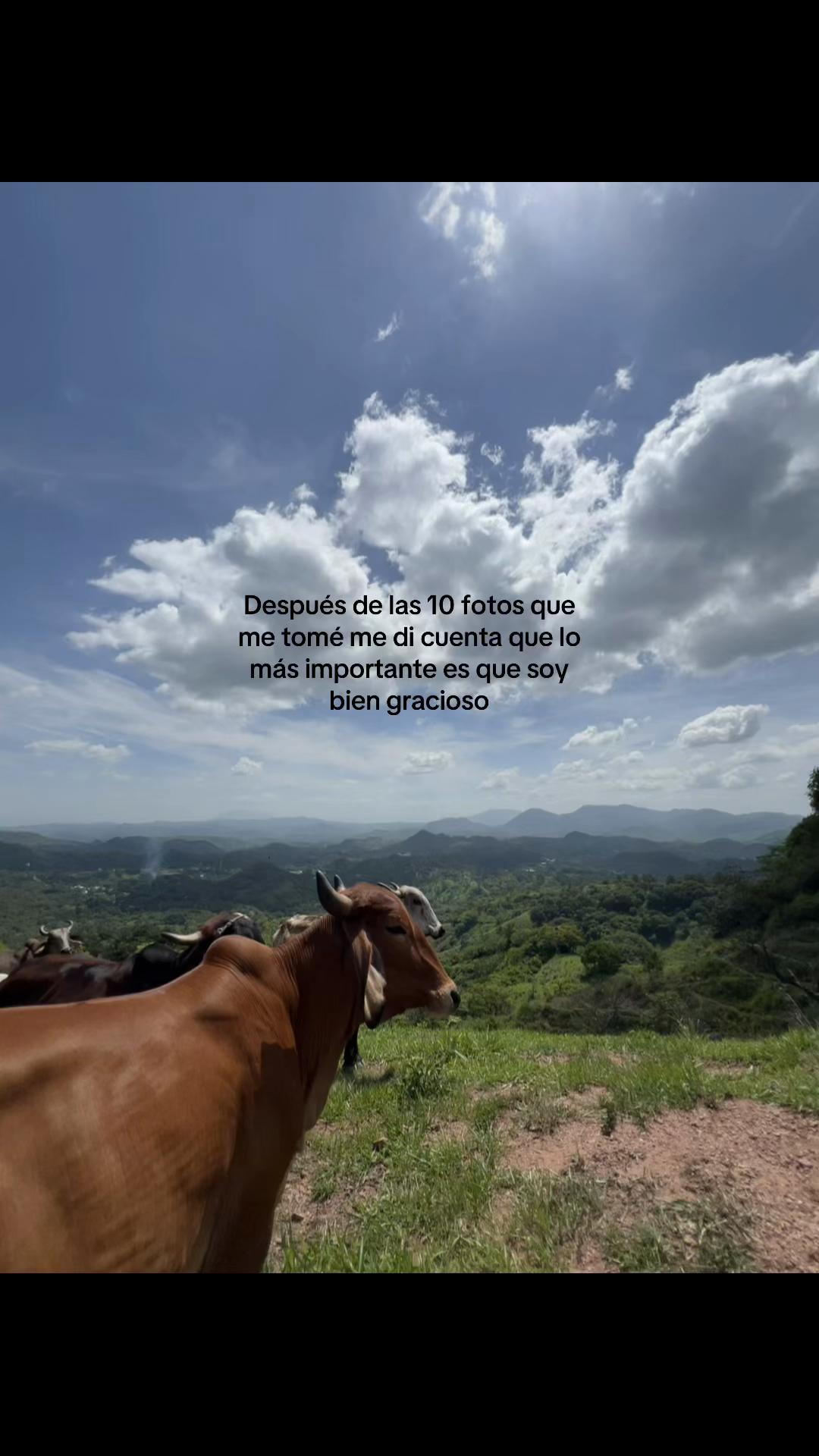 @Javier Acevedo