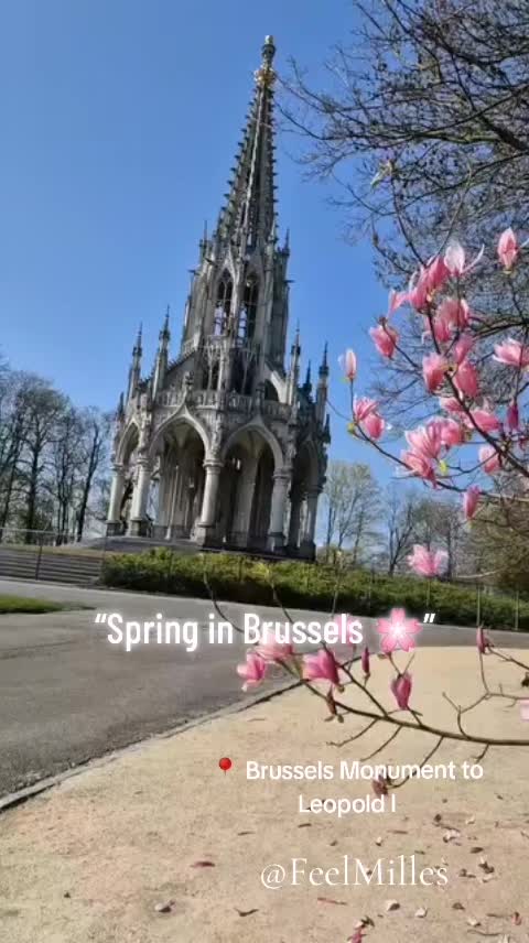 @FeelMilles
