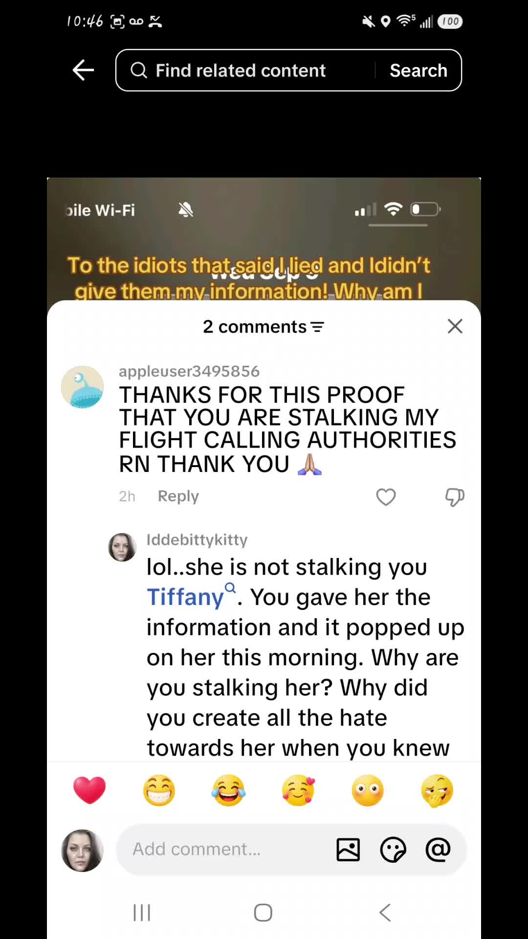 @Iddebittykitty