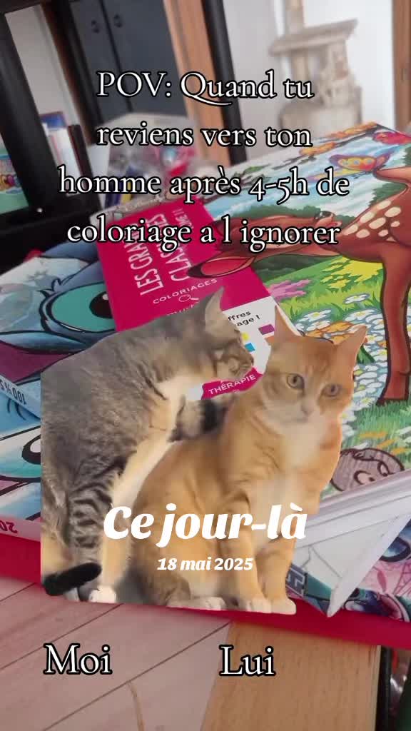 @La blondinette folle ❤️⭐️🤡