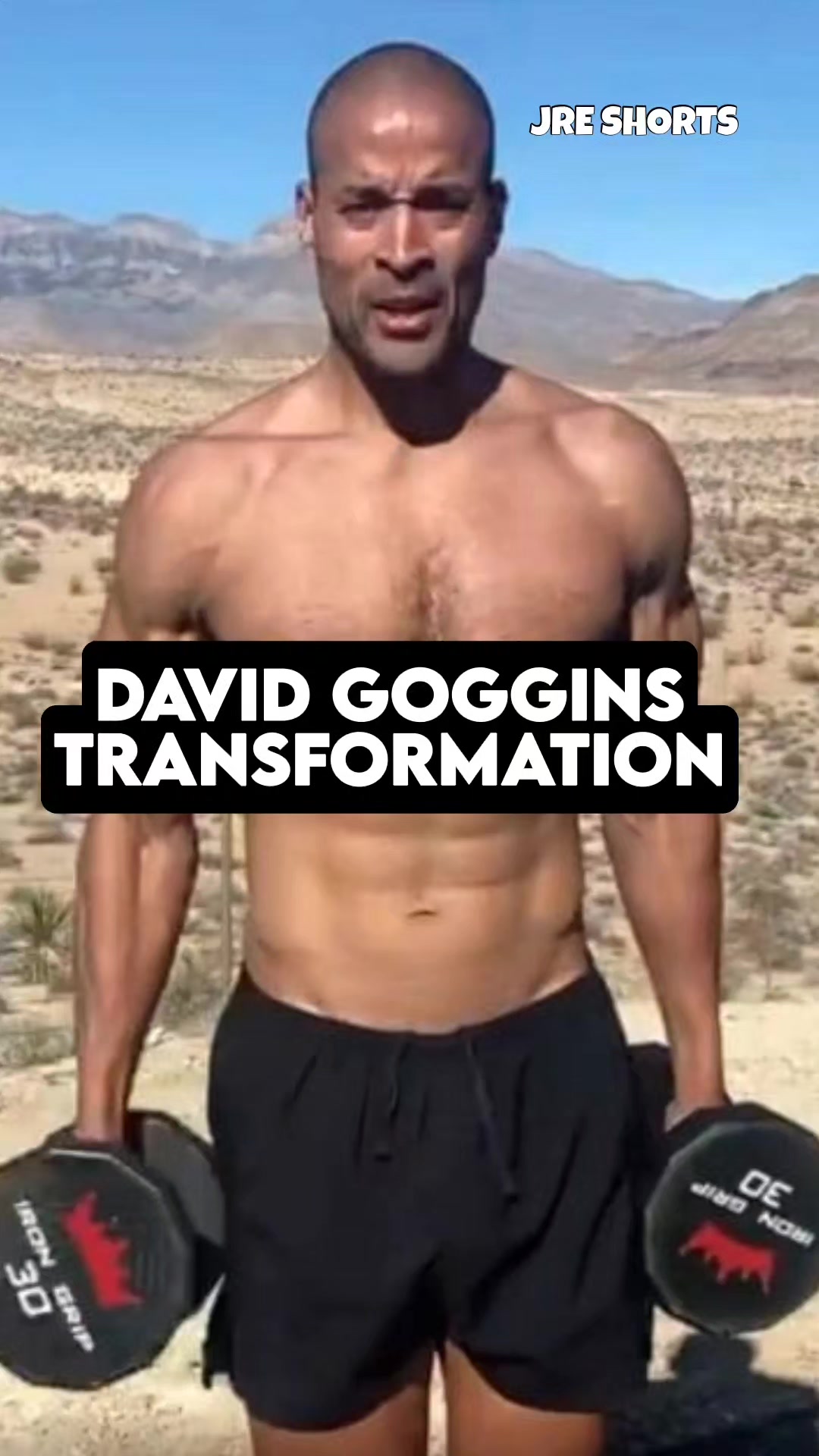 @Joe Rogan Podcast Clips