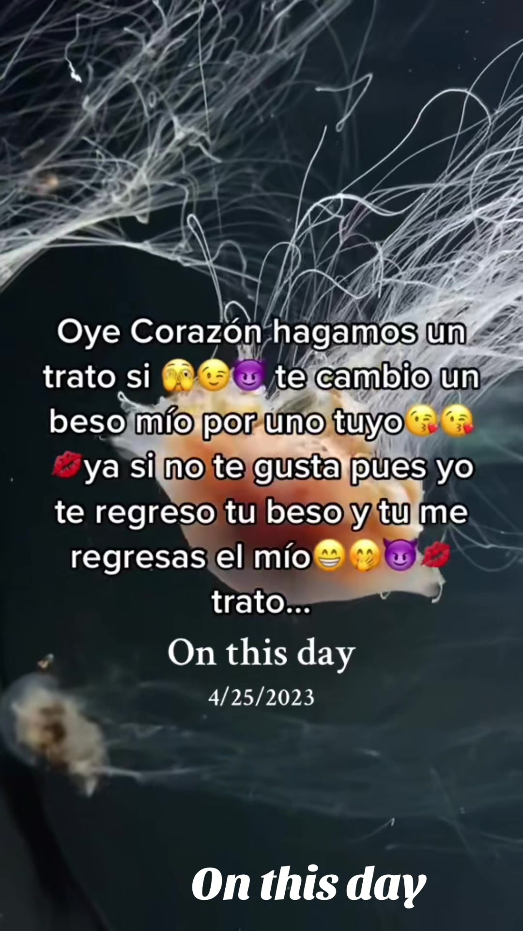 @303chaparrita720