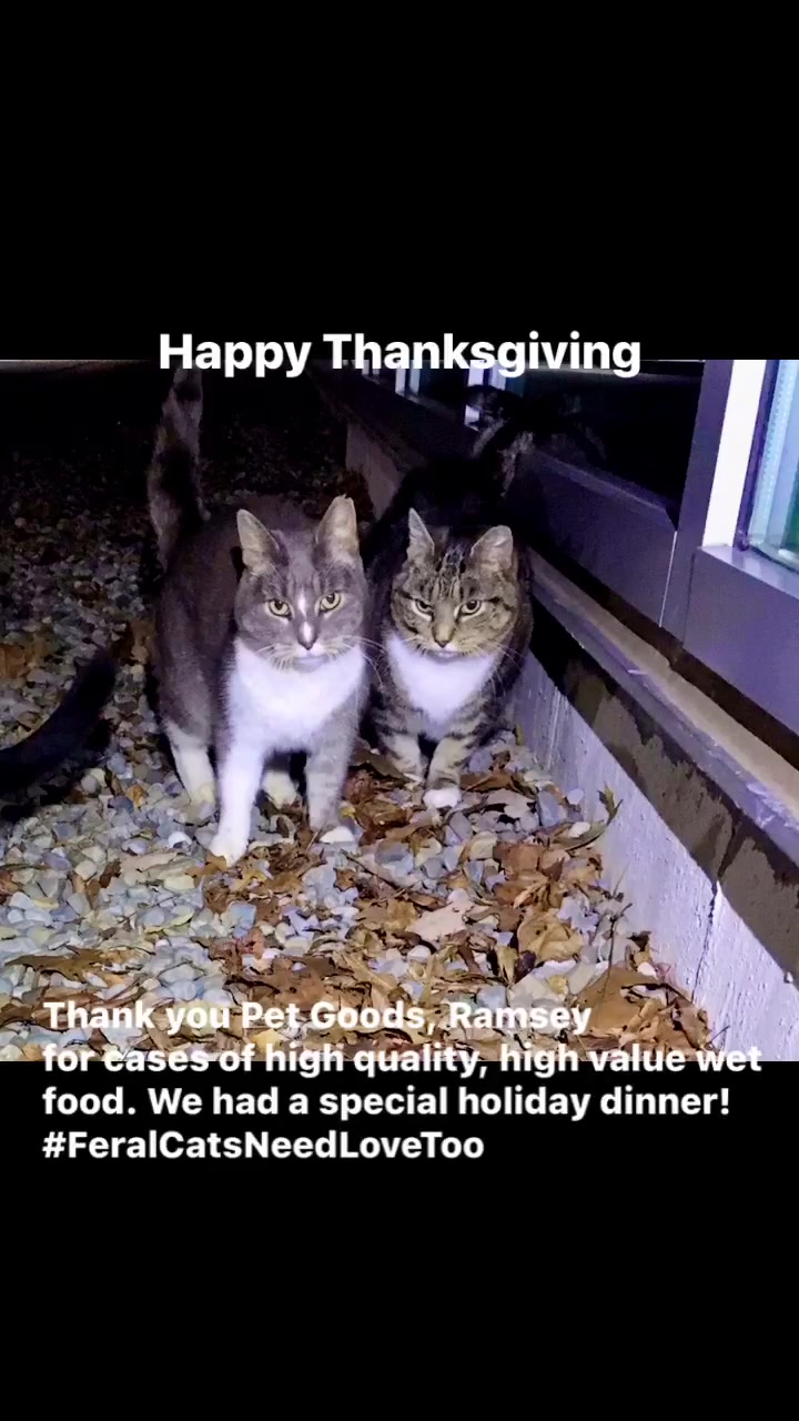 @OnlyKindnessRescue