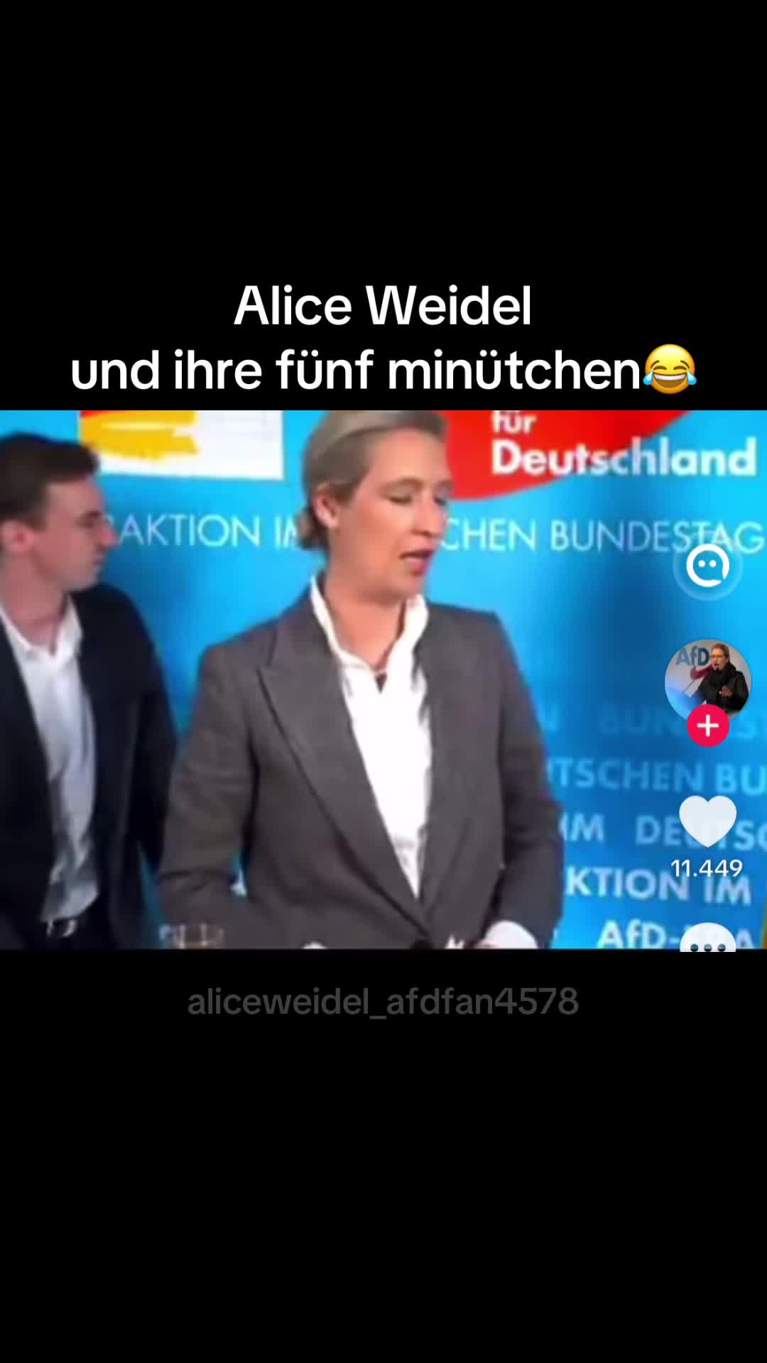 @AliceWeidel_afdfan4578