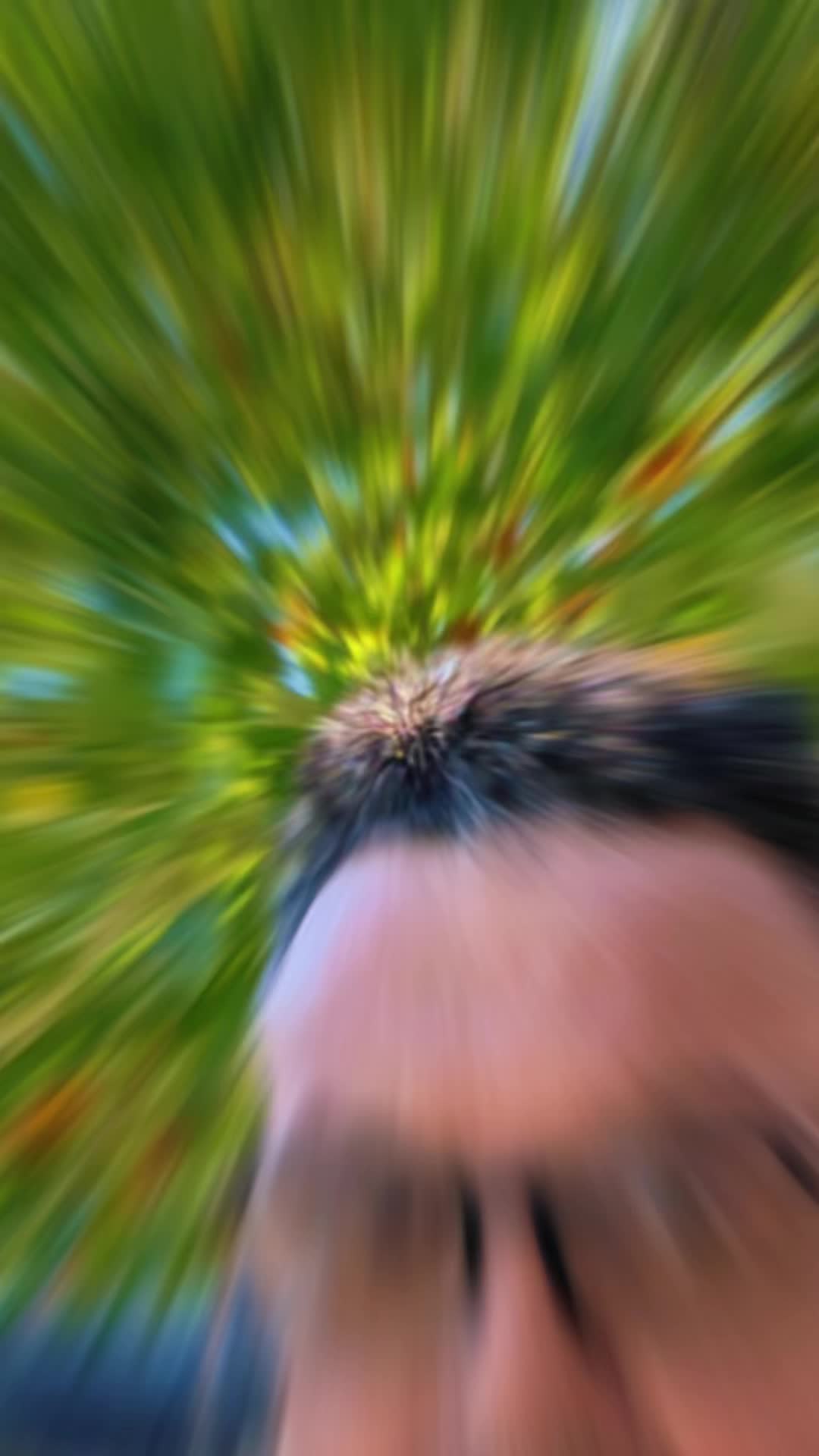 @Wes ❌️