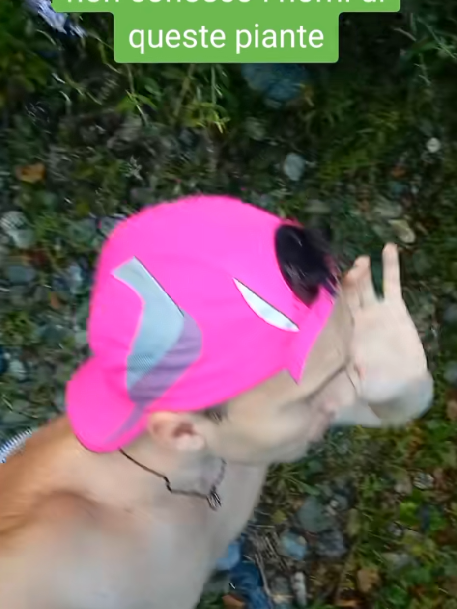 @Fabio leone