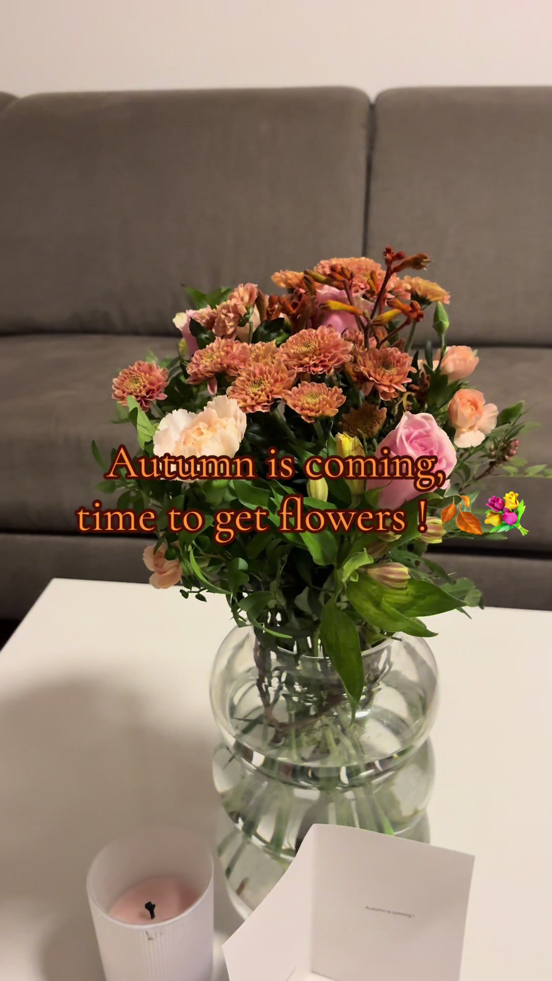 @Jessica🧸