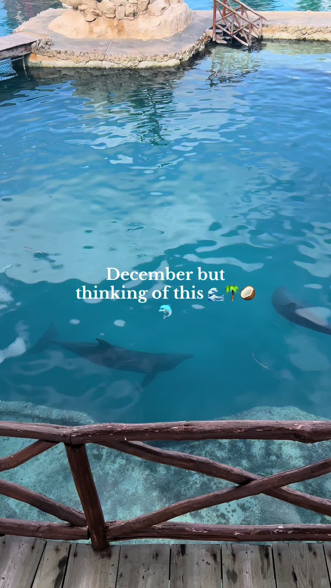 @andyslife