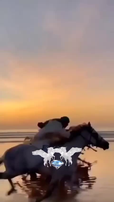 @𝕻𝖆𝖛𝖊𝖑 𝕺𝖛𝖊𝖈𝖍𝖐𝖎𝖓
