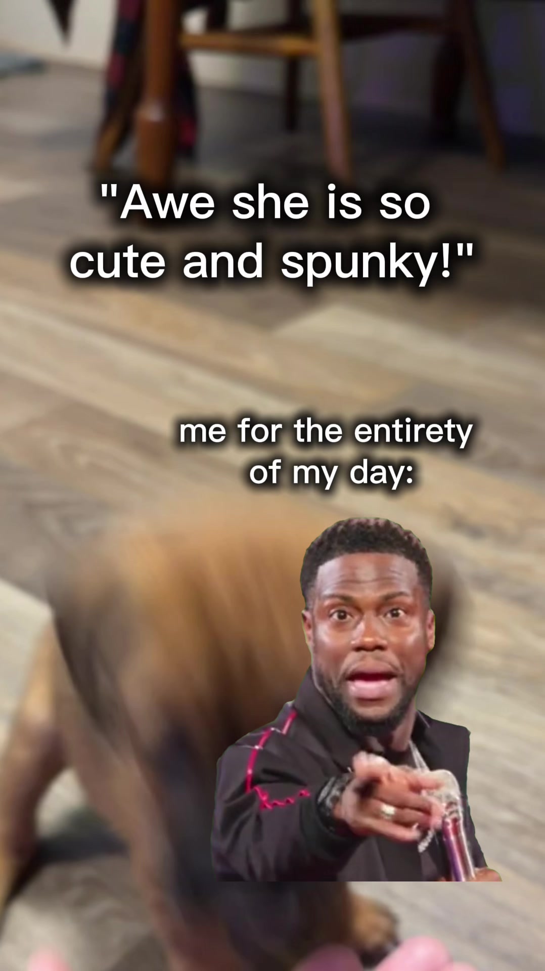 @itsIzzywhatever