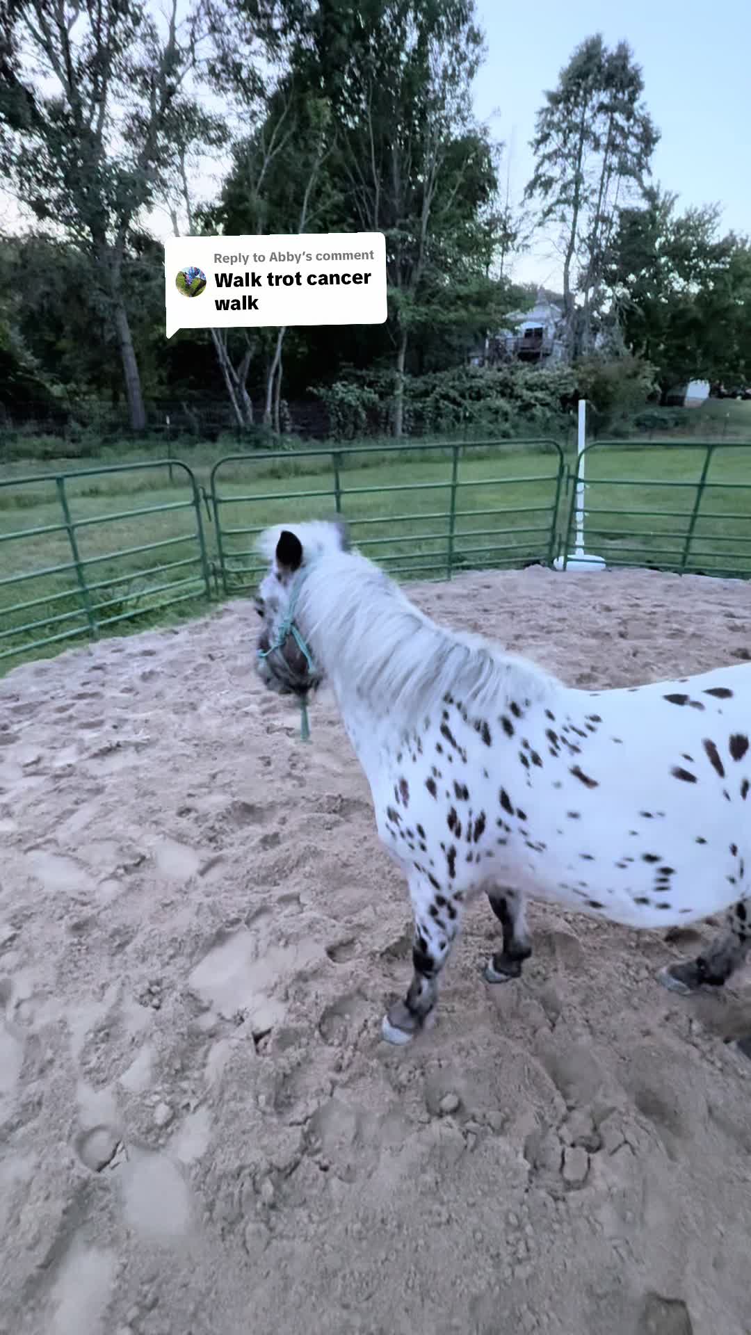 @Maxwell Farms
