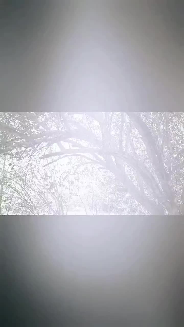 @foxandfernfilmco