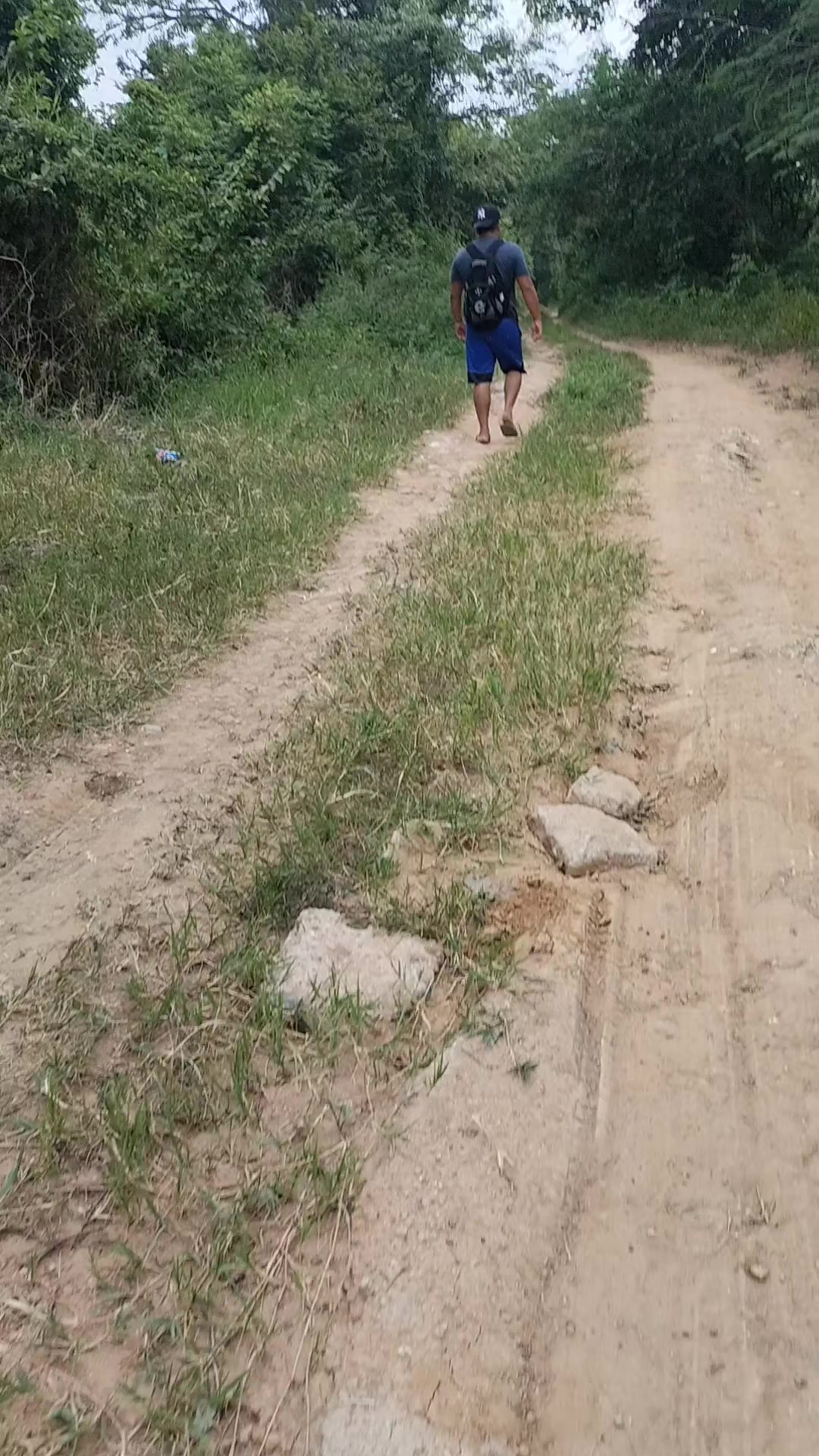@alexis_c2