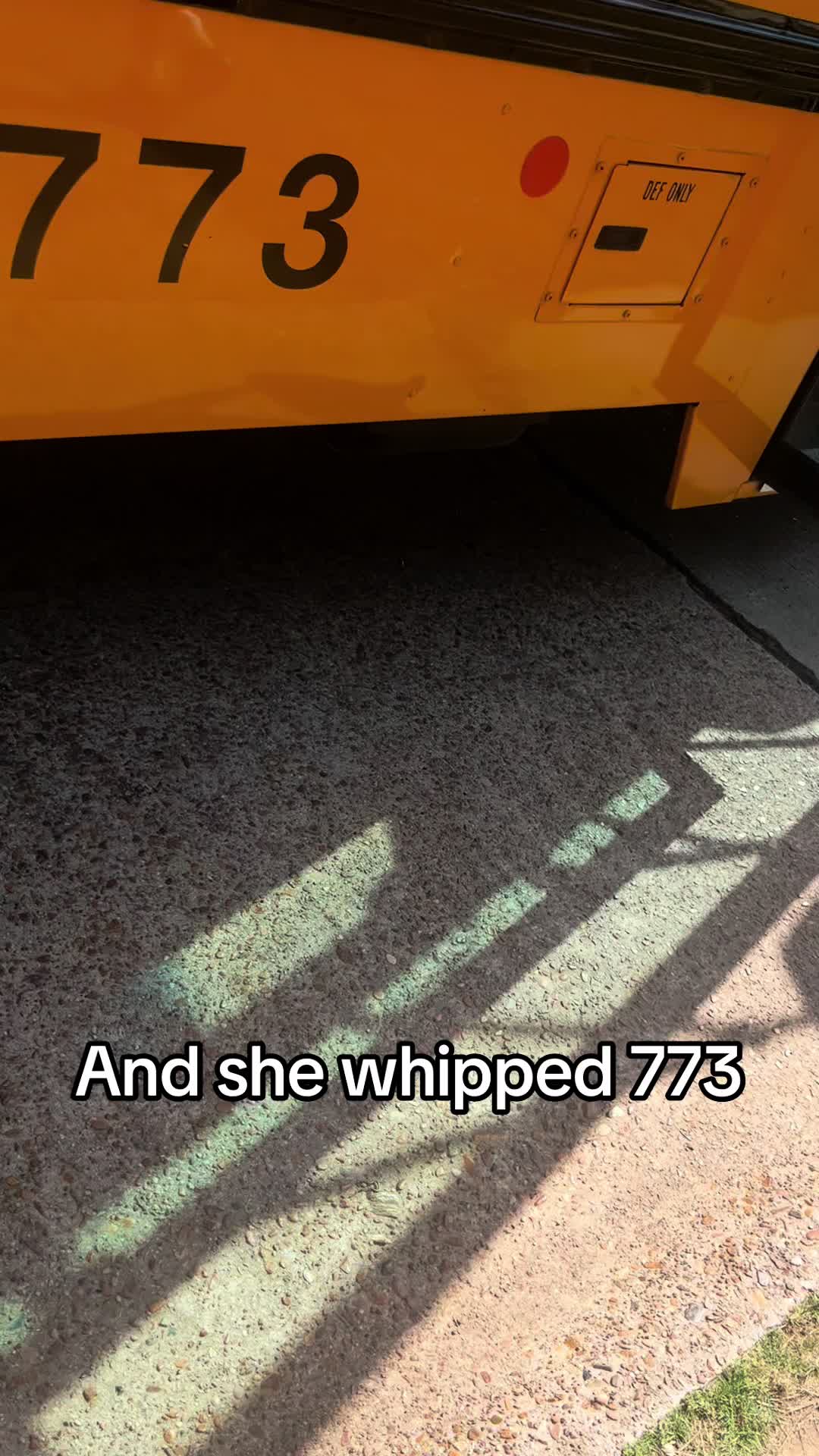 @Bluebirdbus302