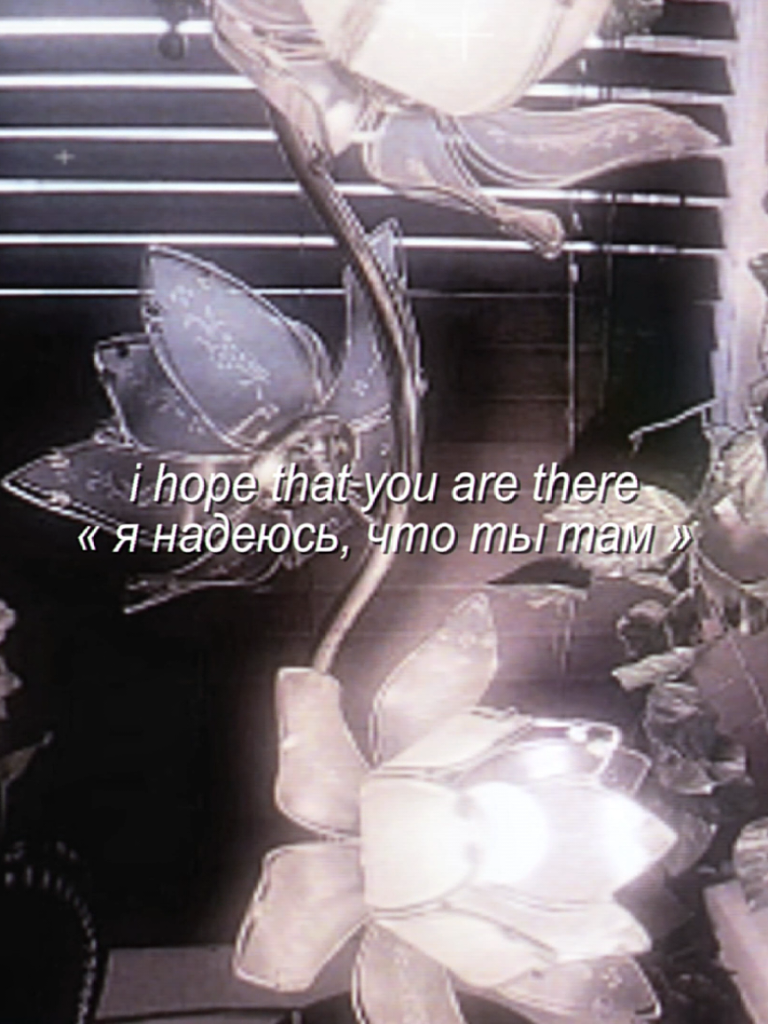 @'.𝙚́𝙪𝙥𝙝𝙤𝙧𝙞𝙖`🪷 ˎˊ˗