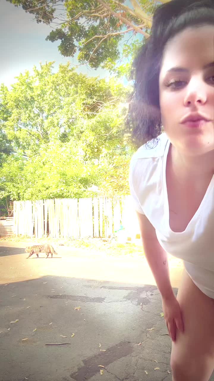 @jadexxvx