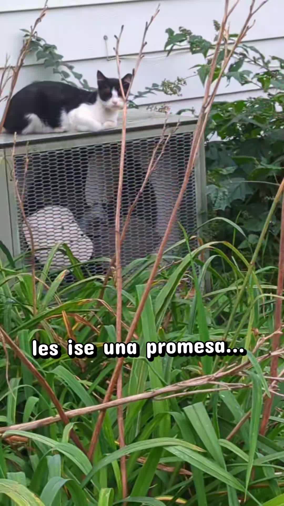 @Jessica🐾💞