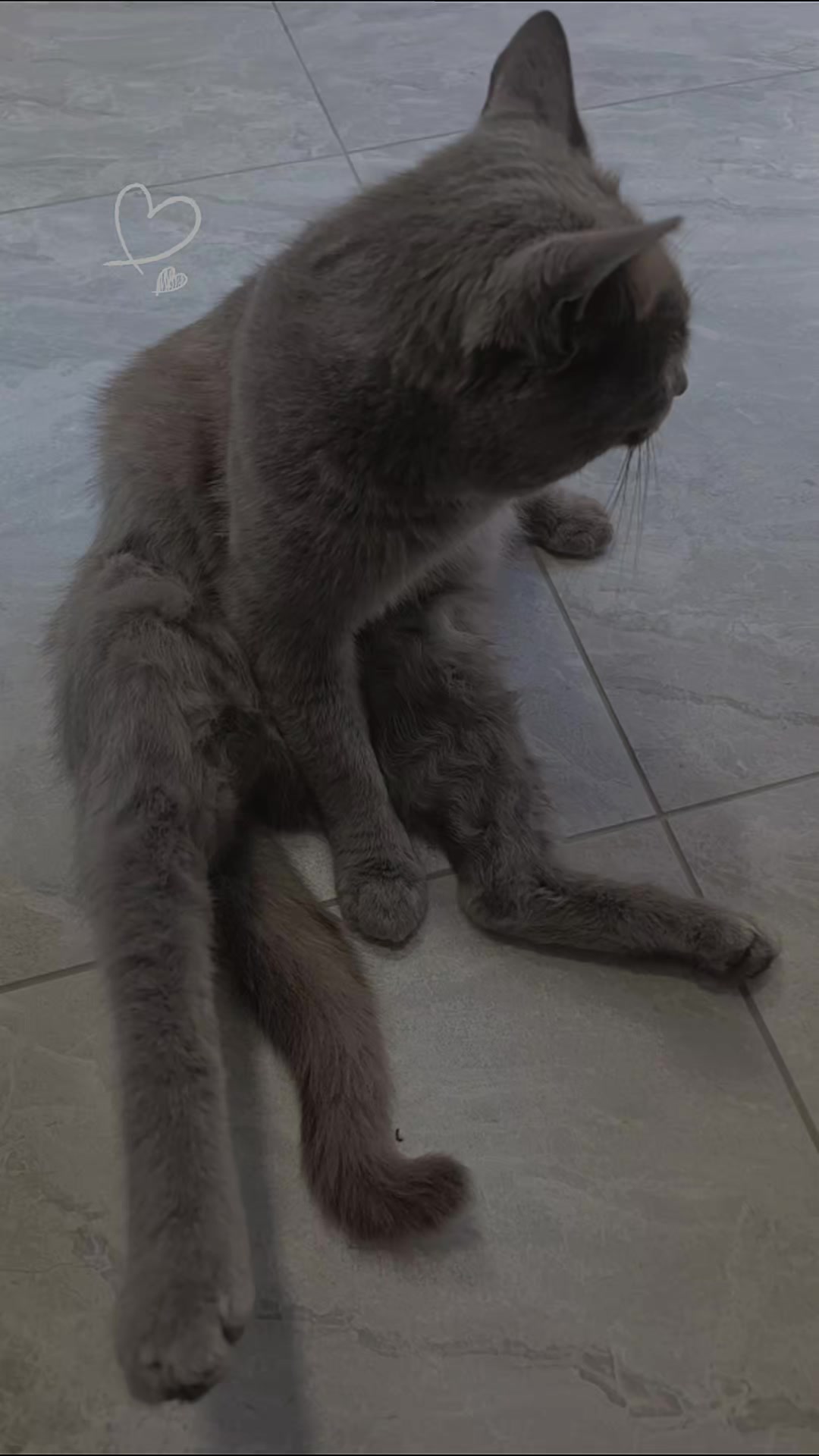 @Карегла👑Z🖤A🖤Y🖤A👑