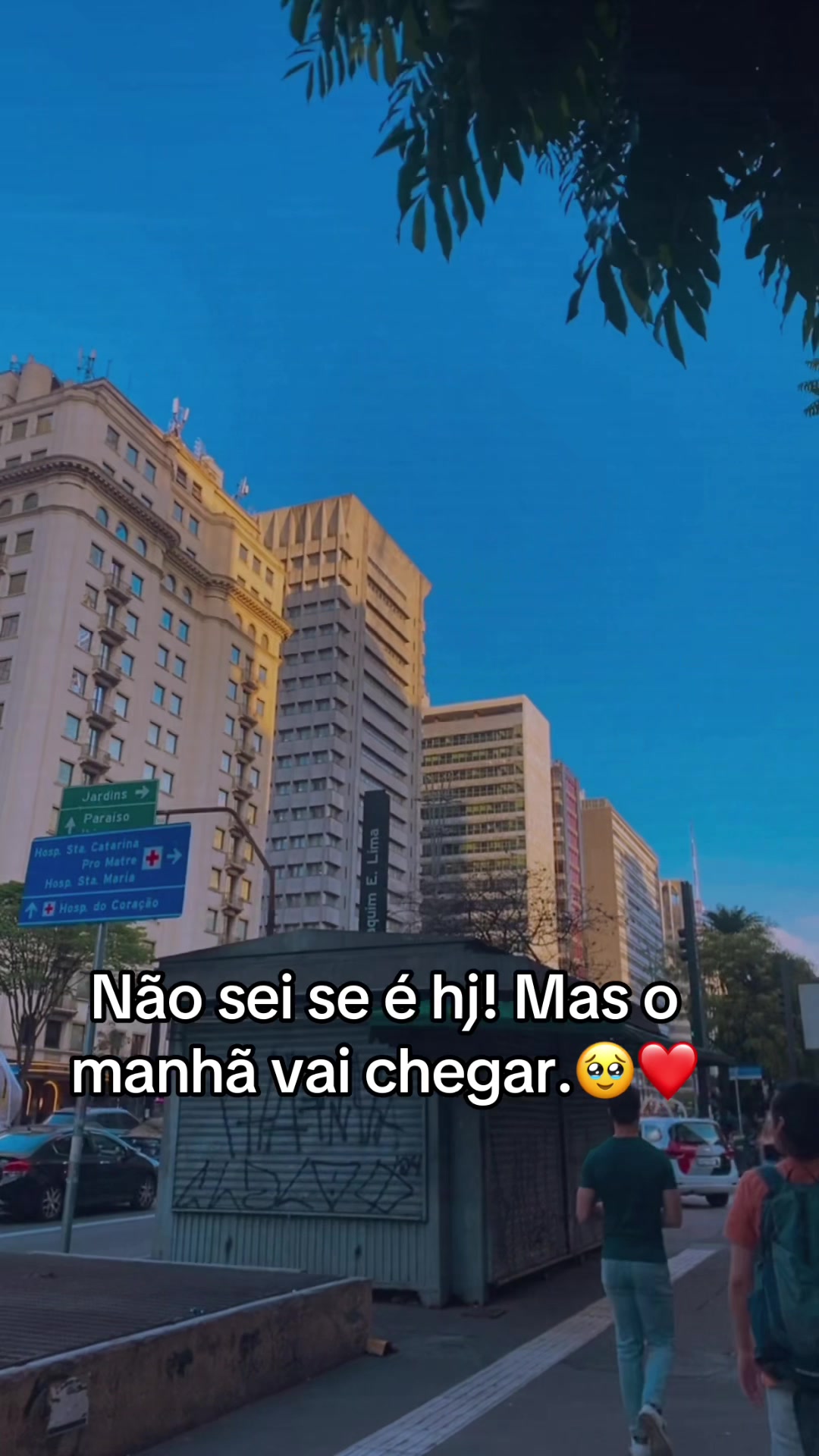 @laninha