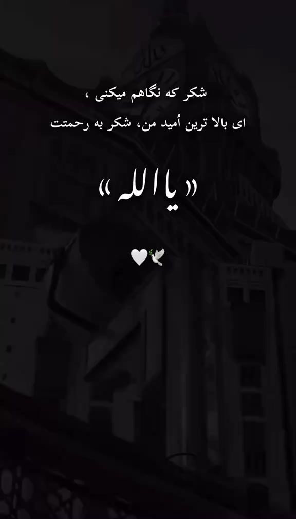 @&raquo;&raquo;&mdash;&mdash;☠&mdash;&mdash;&laquo;   khwaja &raquo;&mdash;&mdash;☠&mdash;&mdash;&laquo;&laquo;