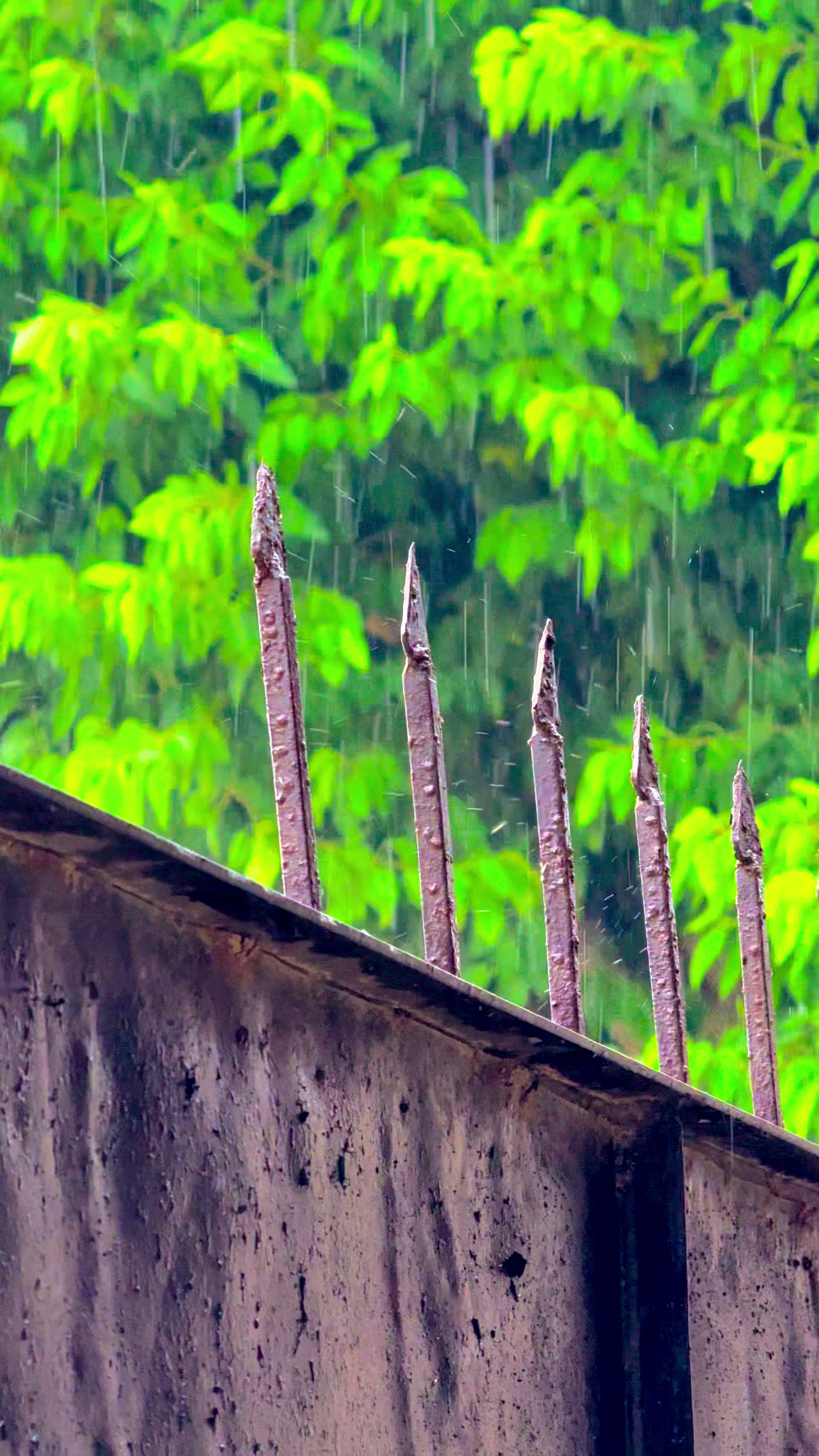 @&Uuml;Z&Auml;&Igrave;Ř_ R&Acirc;JP&Uuml;T🦅