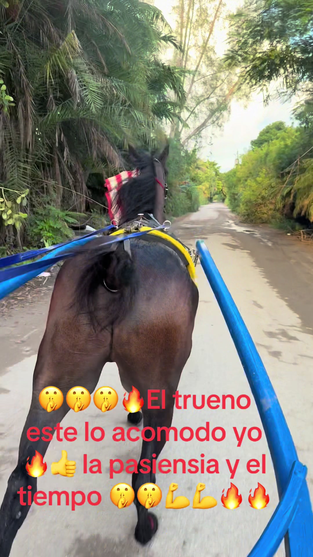 @🔥🔥❤️EL FEO ❤️🔥🔥