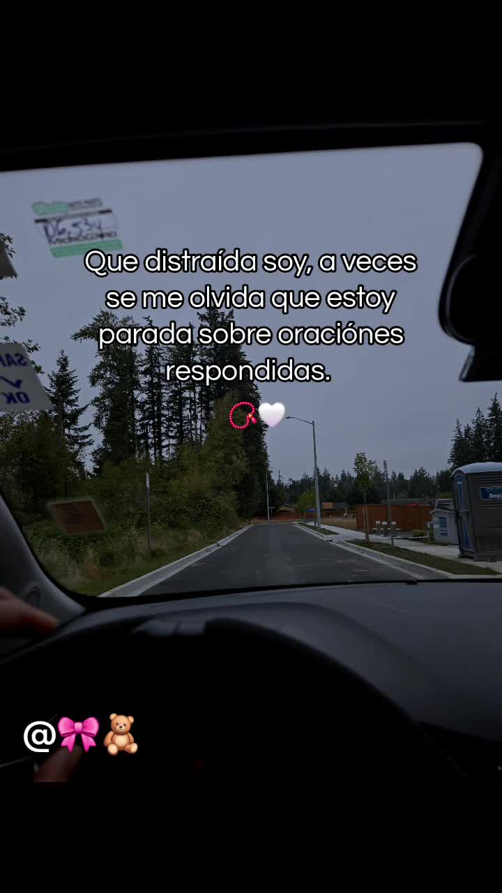 @🎀🧸Mt🧸🎀