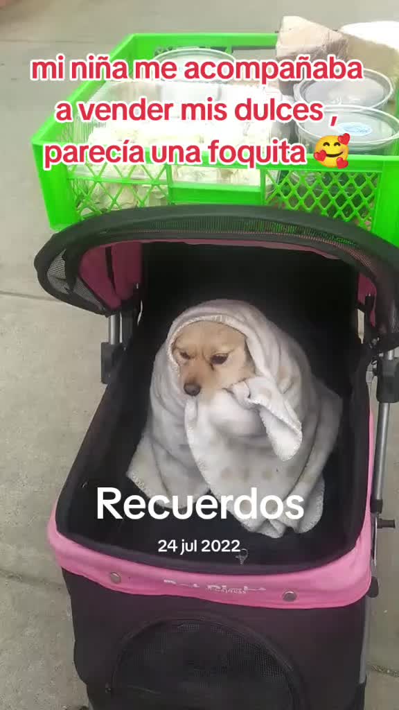 @Canelita@la bonita