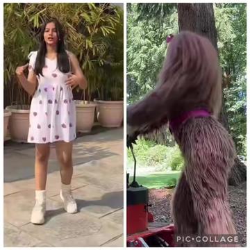 @🐒නටන වදුරා🐒