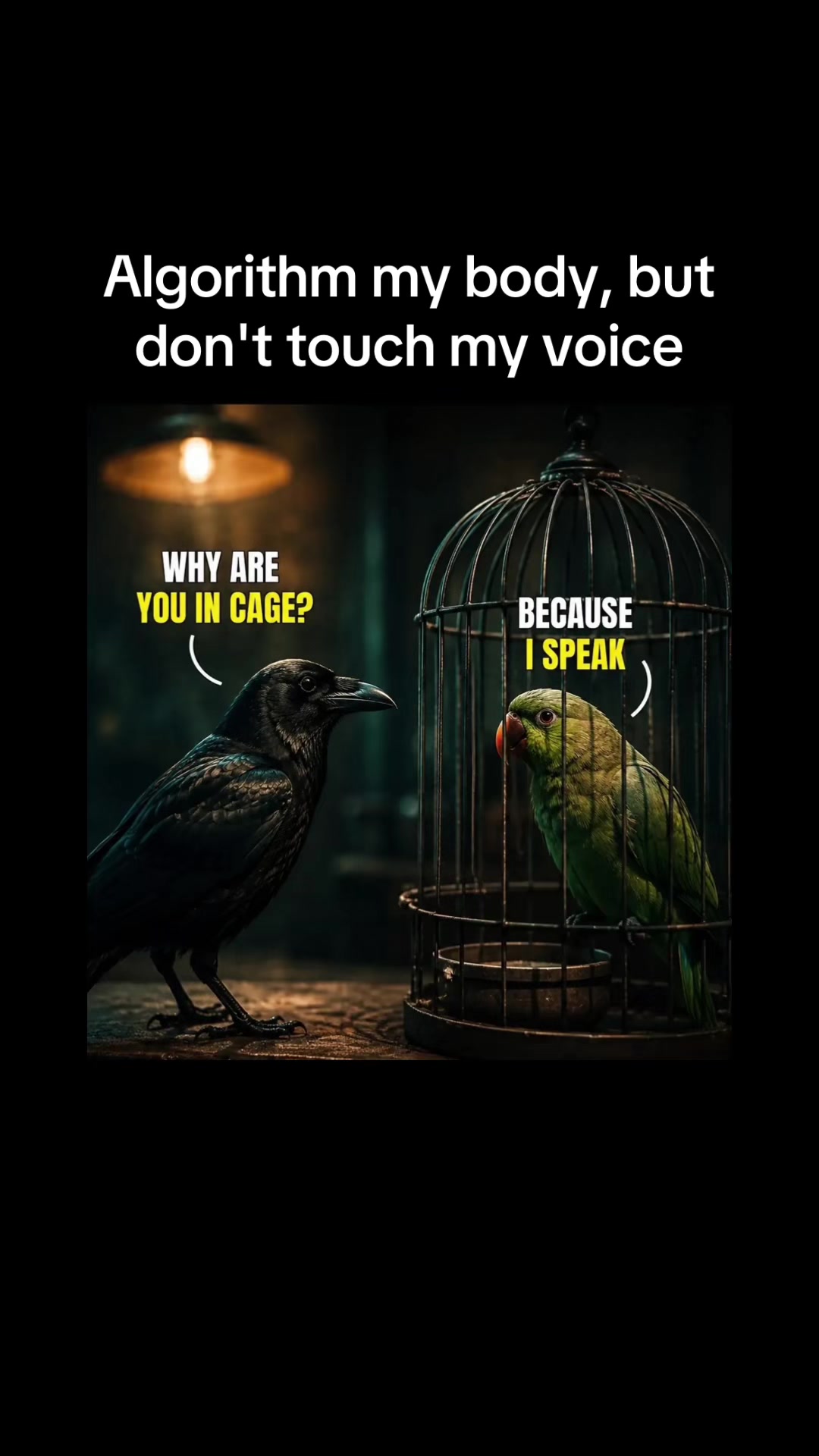 @99humanity99