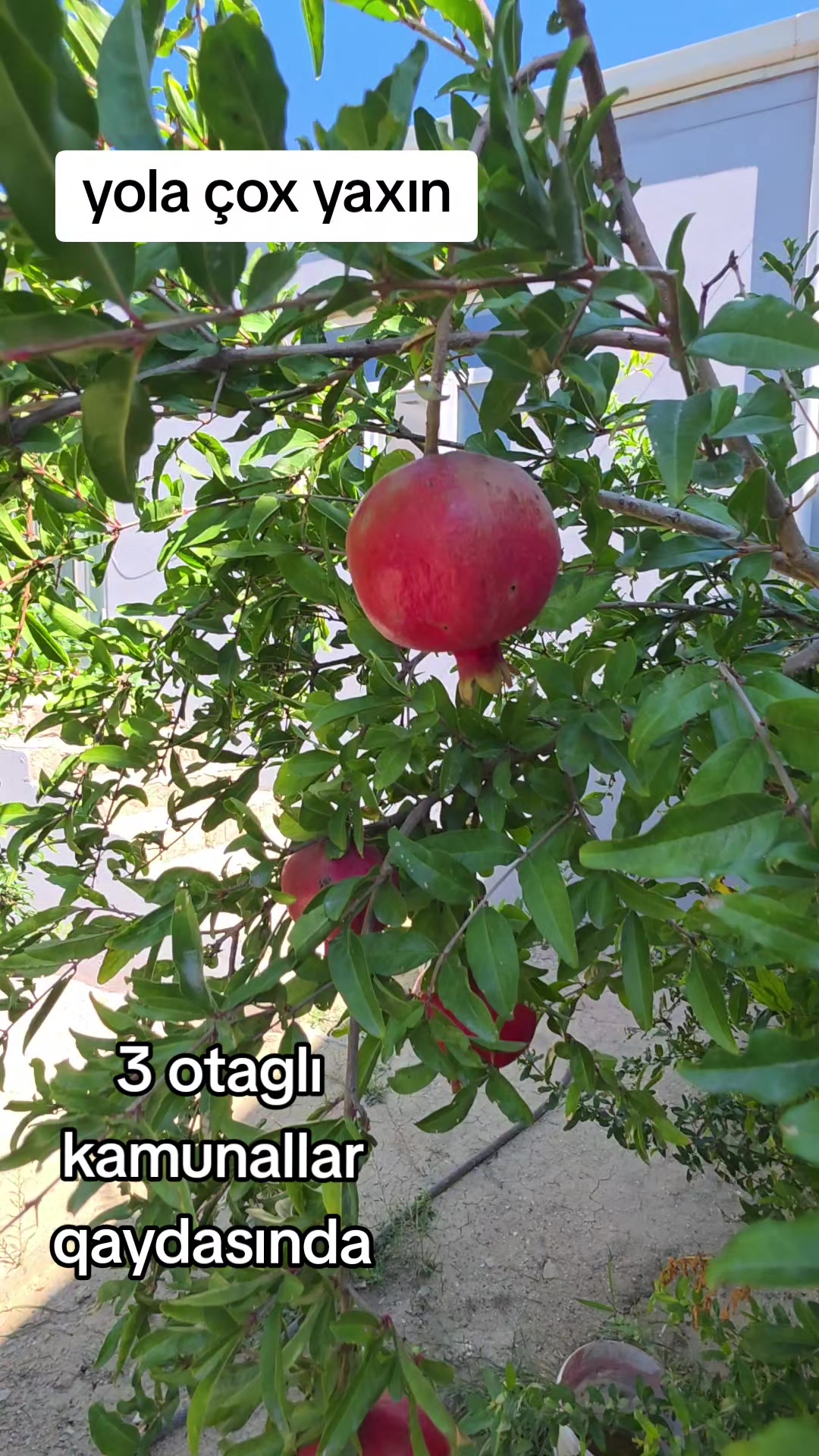 @0507889786 EMLAK AYNURƏ XANIM
