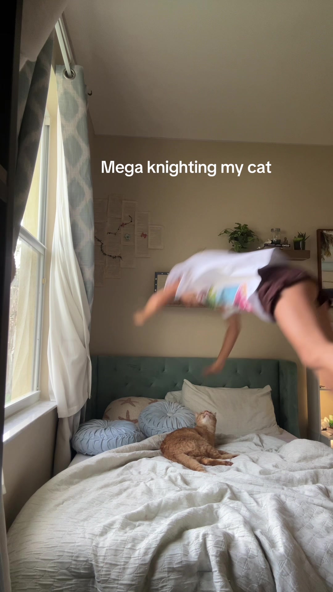 @qantuschunguslife