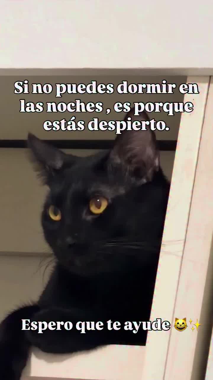 @𝕰𝖑_𝑮𝑼𝑬𝑹𝑹𝑬𝑹𝑶_🇲🇽👑✌