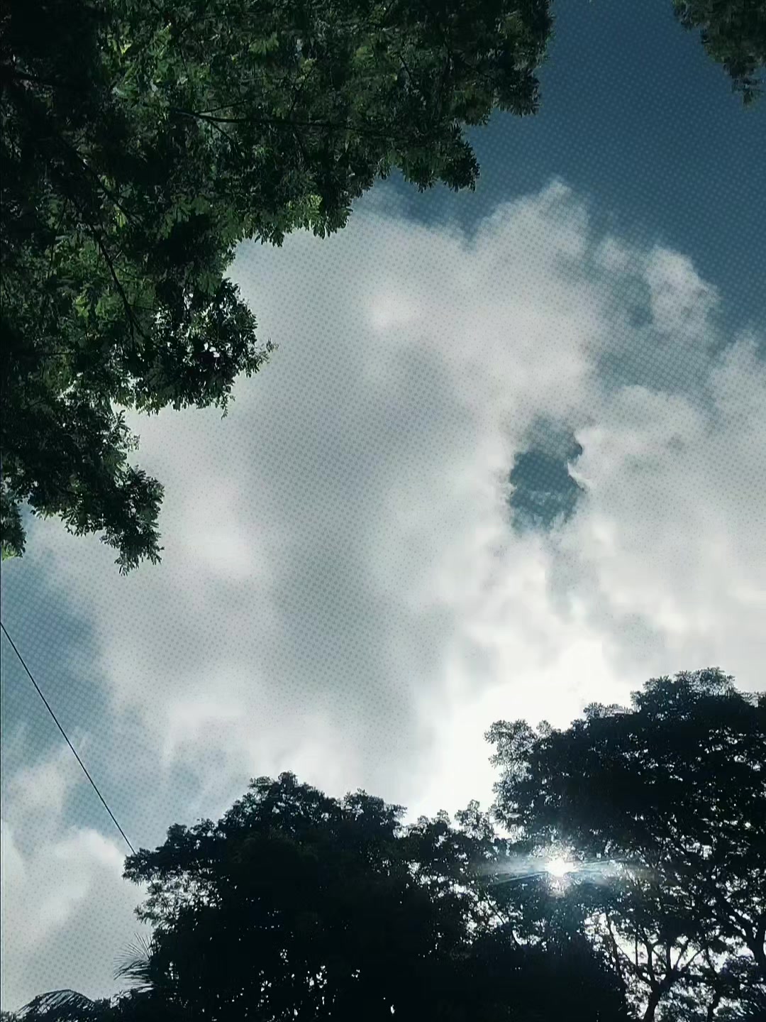 @𝗞𝗼𝘄𝘀𝗮𝗿⎯⎯(⚡