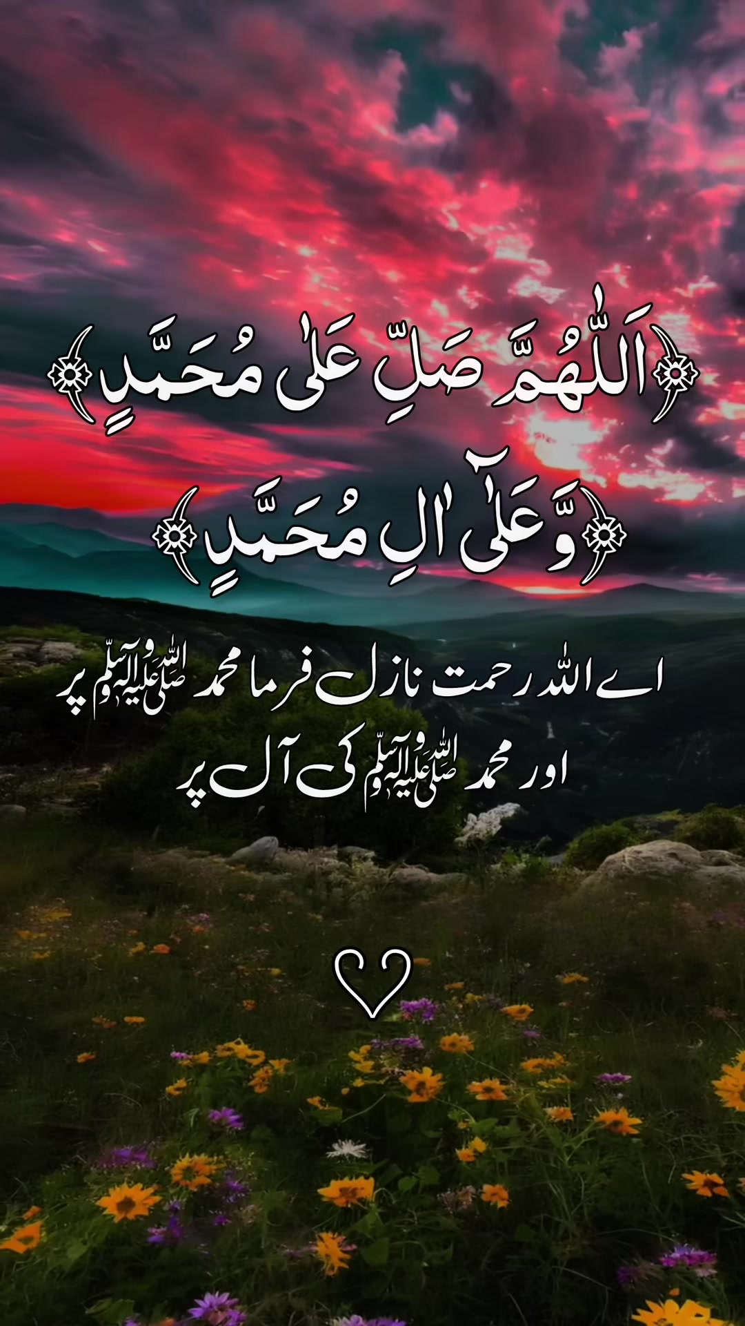 @❣️ Words of Allah ❣️