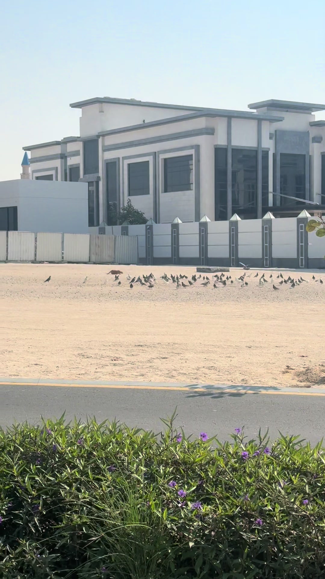 @Maga en Dubai
