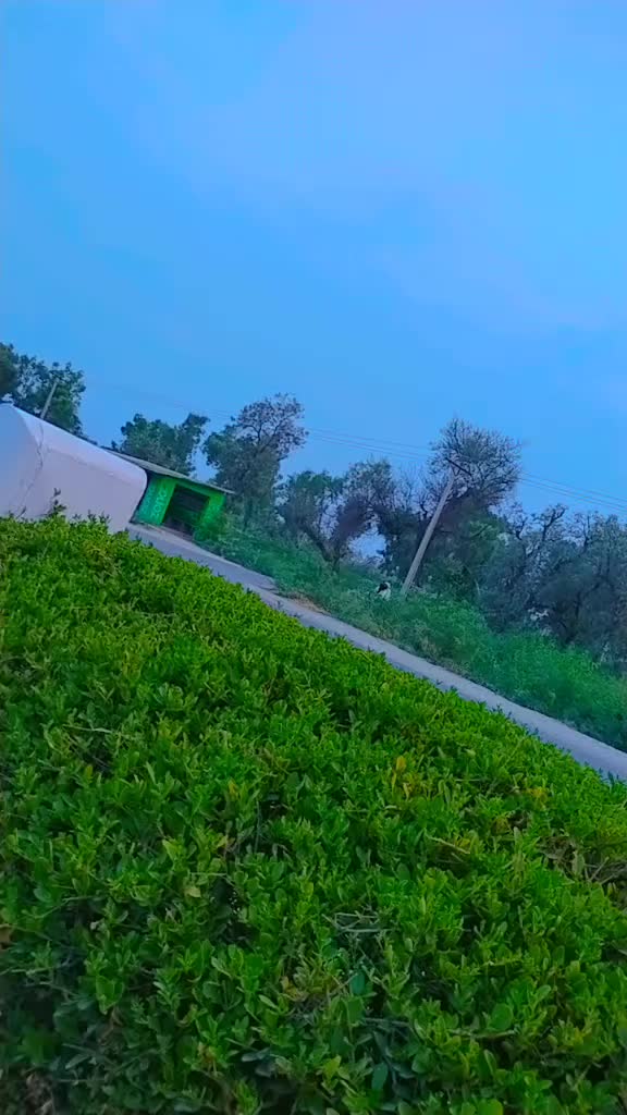 @ᥫ᭡ꜛ🅼ᴜHᴀϻϻᴀᴅ ᴀ֟፝᷍siϻꜜᯓ💗᪲᪲᪲