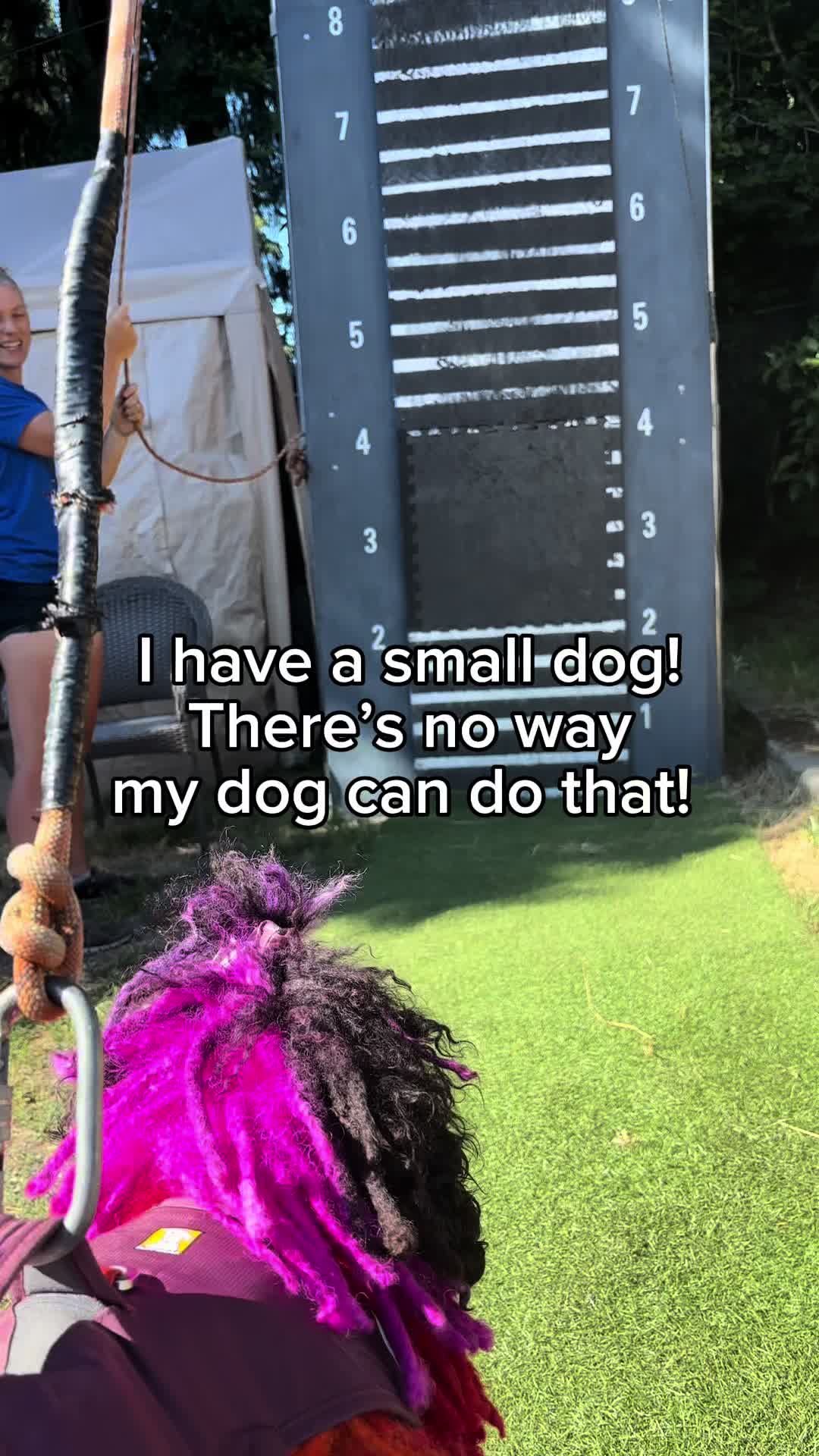 @MaslowTheTrickCorgi & Friends
