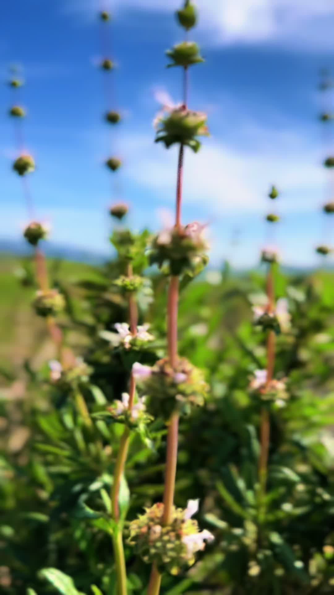 @EscapeToNature