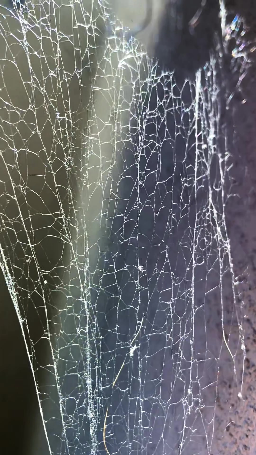 @𝕌𝕞𝕓𝕣𝕖𝕝𝕝𝕒𝕊𝕡𝕖𝕔𝕥𝕖𝕣