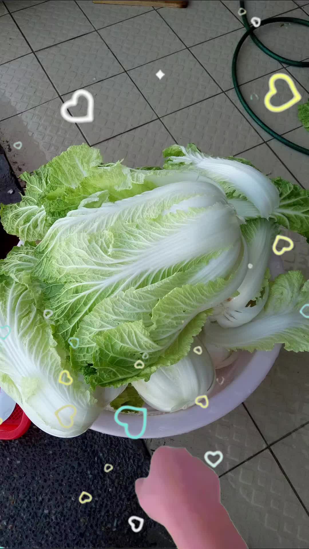 @小魚兒🍀♊獨一無二🐟🐟