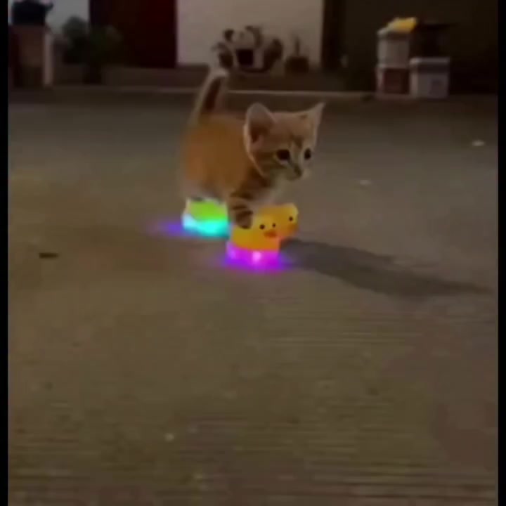 @.
