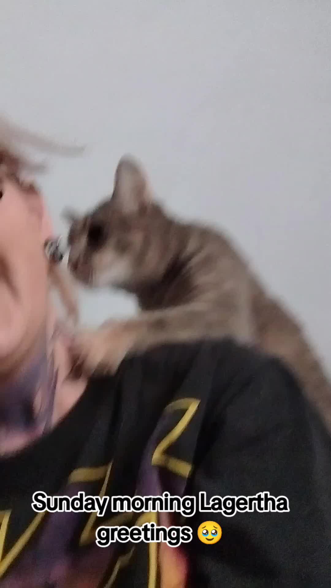 @Mad Kitti3