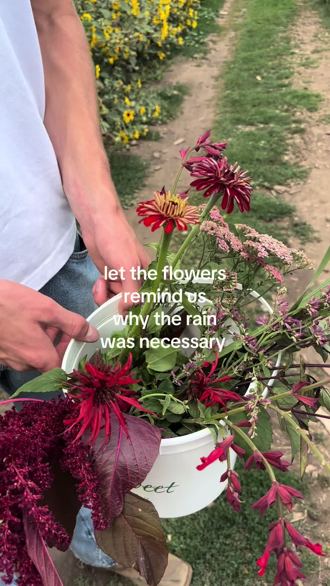 @guavayogaa