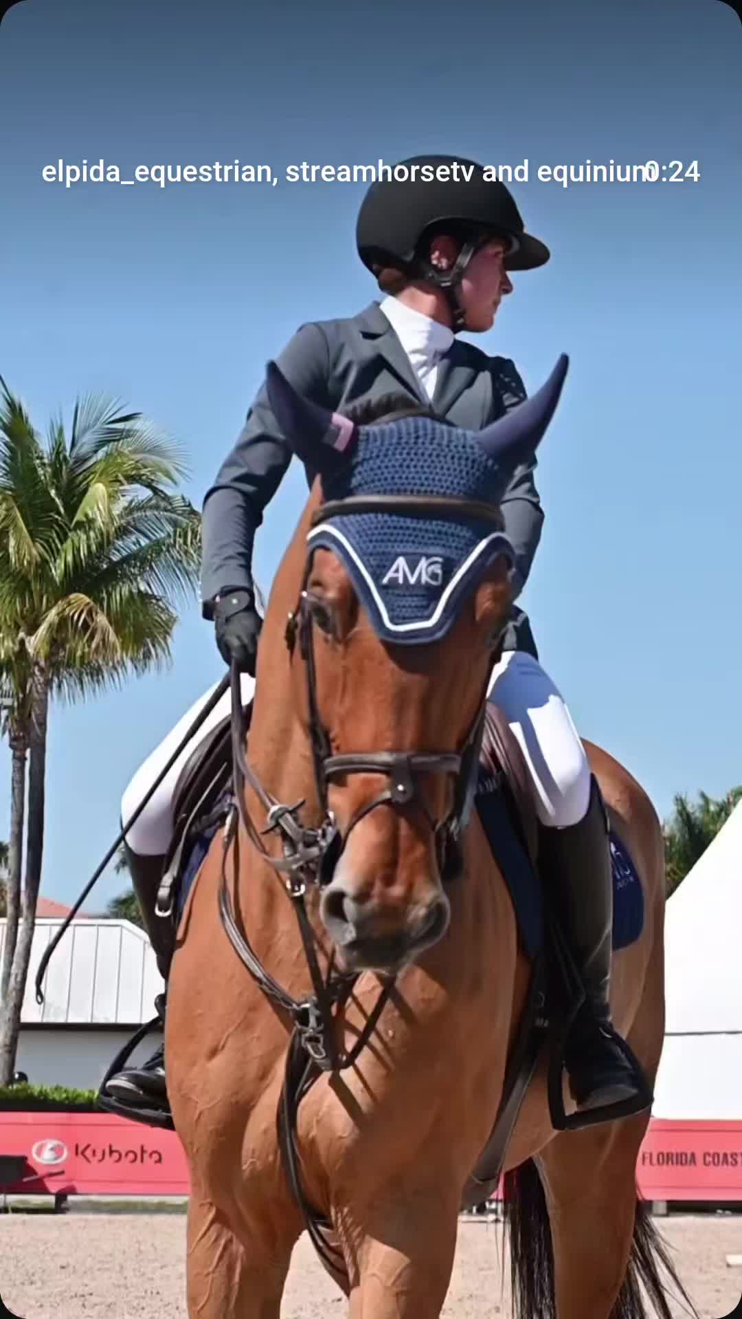 @streamhorse