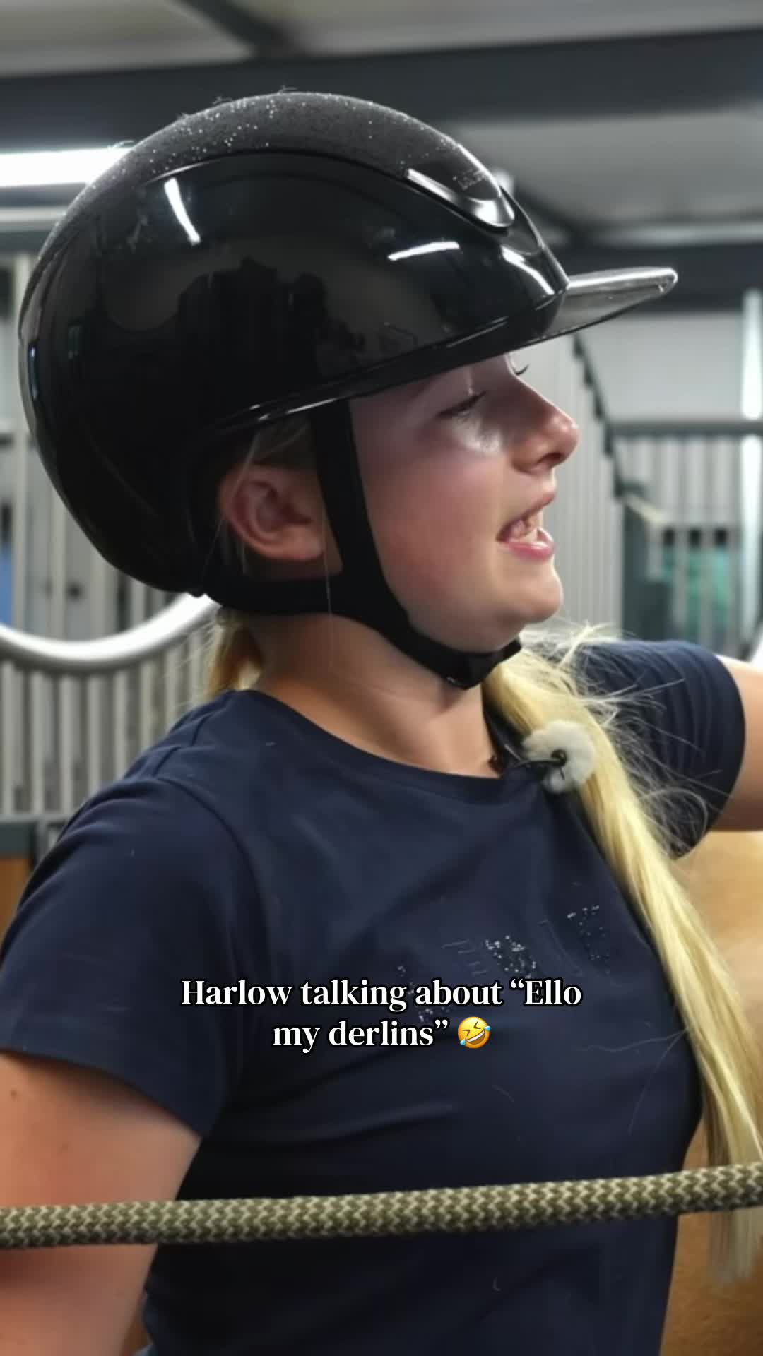 @Harlow Updates