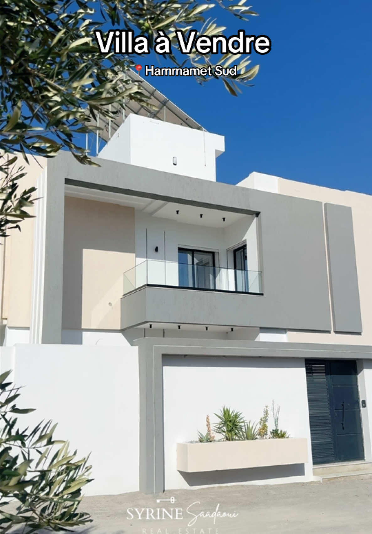 @syrina realestate