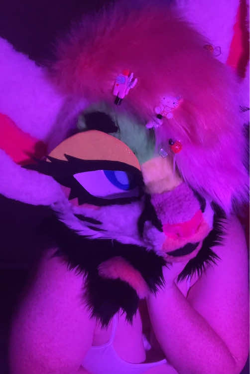 @Liger~Liger🐾🍉->FSC 26!!!