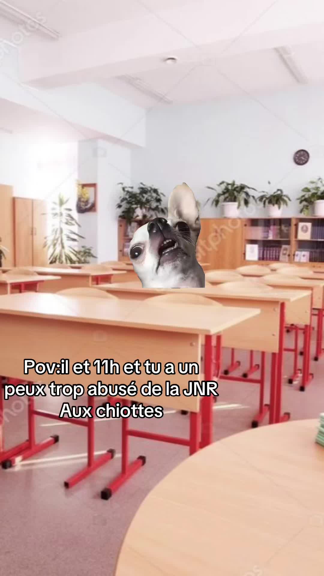 @Mts07.03.26